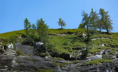 Berghang mit Lerchen.