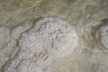 salt on a white salt lake