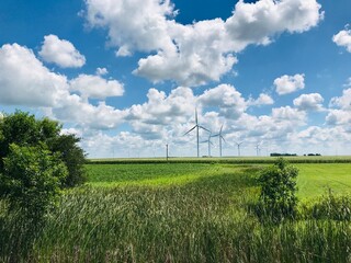wind turbine on a green field