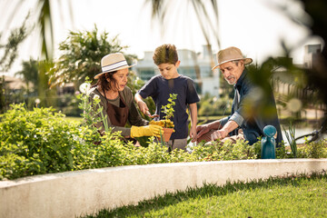 Jardinagem ensinado pelos avós