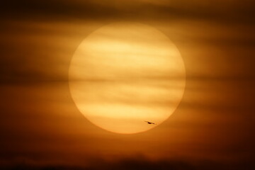 Obraz premium sunset