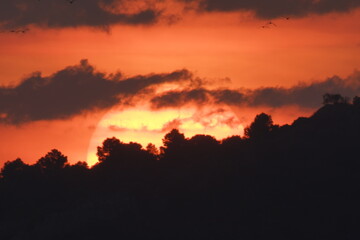 Obraz premium sunset