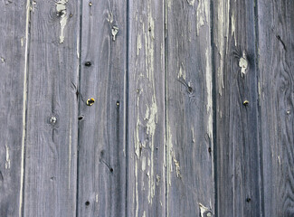 Texture of old wood with hammered nails and remains of paint