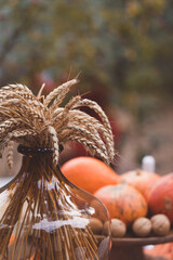 Ripe ears of wheat in a brown glass vase with pumpkins background, toned