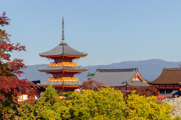 Fototapeta premium Temple and pagoda in the high part of Kyoto (Japan)