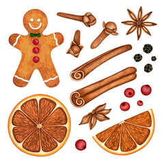 Christmas watercolor set with gingerbread, hot mulled wine spices: dried orange slice, clove buds, anise star, cinnamon stick. Hand drawn elements isolated for holiday print, greeting card, invitation