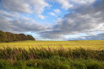 Rural landscape of County Durham, England, United Kingdom