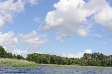 Panorama of Wigry lake in north-eastern Poland with dark-blue waters, green trees, blue sky and white clouds on summer day