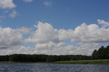 Panorama of Wigry lake in north-eastern Poland with dark-blue waters, green trees, blue sky and white clouds on summer day