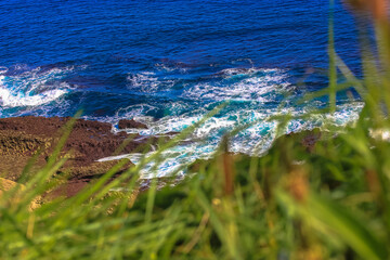 Green grass against a background of blue turbulent ocean in summer