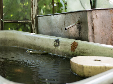 Rainwater Harvesting In A Large Tank. Old Barrel For Rainwater. System For Collecting Rainwater From Two Tanks With Overflow