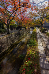 Philosopher's walk next to the river in Kyoto (Japan)