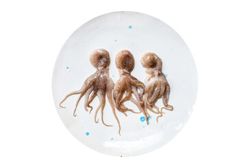 octopus raw seafood fresh baby size on the table serving size top view copy space for text diet pescetarian food background rustic