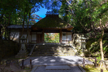 Temple in the middle of the forest in Kyoto (Japan)