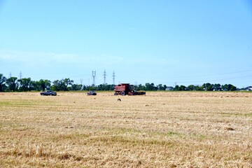 Obraz premium A combine is seen harvesting wheat
