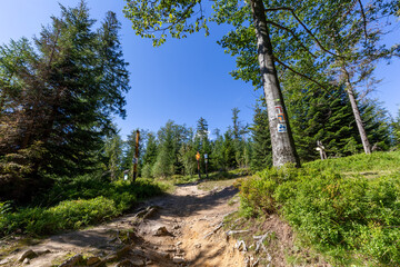 Crossing of mountain trails in Beskid Sadecki in Poland on sunny day in summer