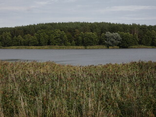 Nature reserve Prosino Lake 