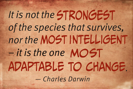 Motivational quotation by Charles Darwin about changes in life and business saying that not the strongest people survives, nor the most intelligent. It is the one that is most adaptable to change.