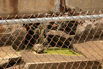 cage