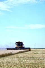 Fototapeta na wymiar A combine is seen harvesting wheat in a Manitoba field