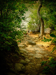 Fototapety na wymiar - Fototapeta24.pl