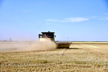 Obraz premium A combine works in a wheat field