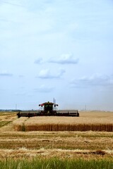 Naklejka premium A swather is seen cutting wheat