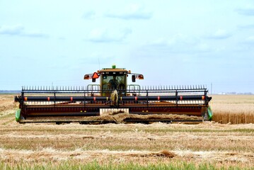 close up of a swather cutting Manitoba wheat