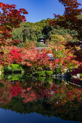 Beautiful multi colored garden in Kyoto (Japan)