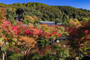 Fototapeta premium Beautiful multi colored garden in Kyoto (Japan)
