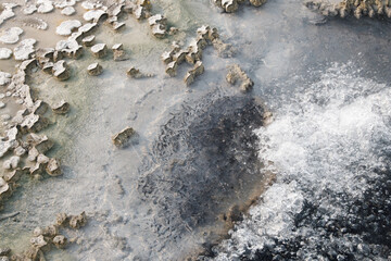 Thermal features at Yellowstone National Park