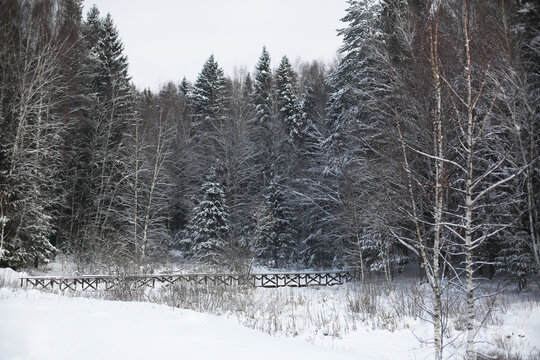 Beautiful Christmas landscape inspirational lifestyle image with rustic wooden bridge in winter forest under snow. Fur trees wood. Happy new year spirit. Holiday postcard idea.