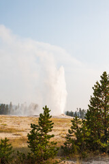 Old Faithful Geyser eruption