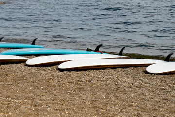 a row of stand up paddle boards lying an a beach with their fins in the air