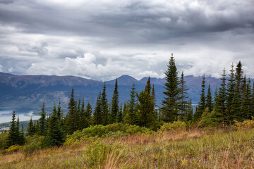 Colorful meadow fields on top of Nares Mountain during fall season. Located in Carcross, near Whitehorse, Yukon, Canada.