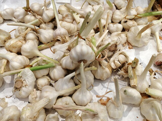 fresh and organic vitamin vegetables