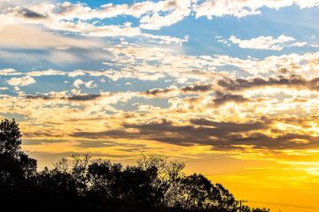 sunset over the field