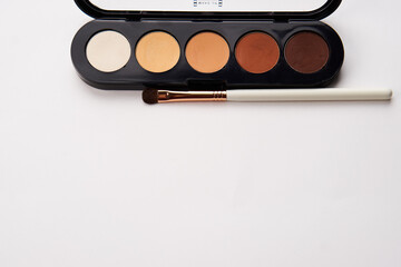 eyeshadows on isolated background and makeup brushes professional cosmetics