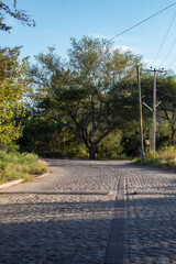 Camino en el rancho