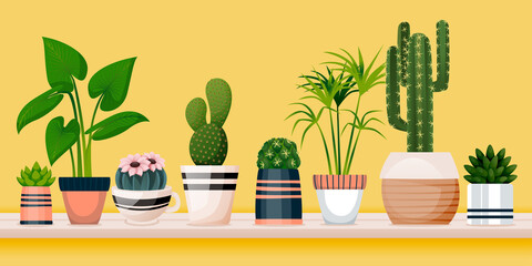 Home plants in decorative pots. Vector illustration of green potted houseplants. Banner background with copy space