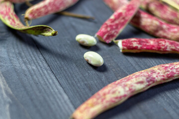 red and green spotted pods of haricot bean on black wooden  background