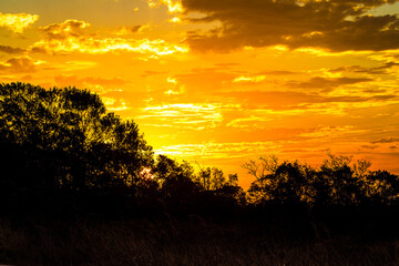 sunset over the field