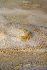 Spasmodic Geyser, Hydrothermal feature at Yellowstone National Park, close-up