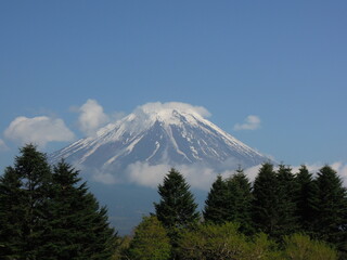 Fototapeta premium 富士山