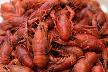 lobster on the market