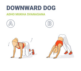 Woman Doing Downward Dog Home Workout Exercise Guide Colorful Concept Illustration.