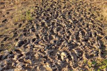 Background of footprints on the dirt 