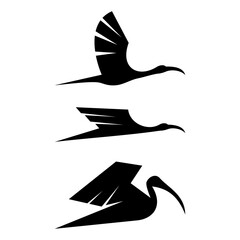 ibis bird design logo icon vector - obrazy, fototapety, plakaty