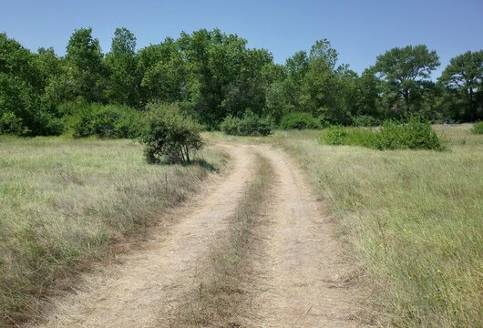 Dirt road through the Bulgarian plain heading into a green forest near Krapets village