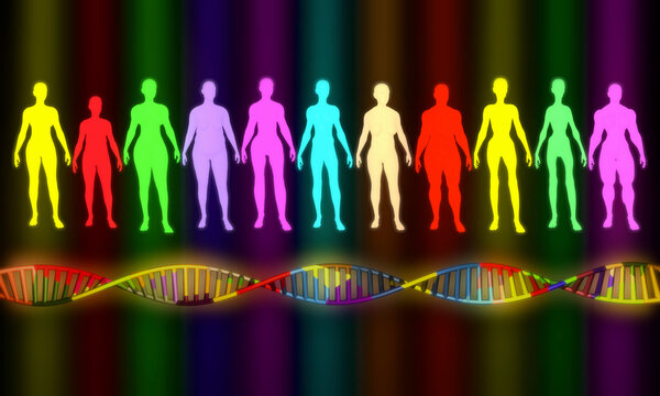 Multicolored collection of people body types. Women, female silhouettes .  Colorful DNA  3d rendering illustration